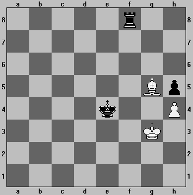 Rook and Pawn vs. Bishop and Pawn